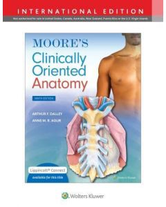 Moore's Clinically Oriented Anatomy 9th edition